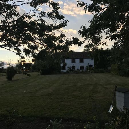 Wedmore Mount Pleasant Farm Bed & Breakfast エクステリア 写真